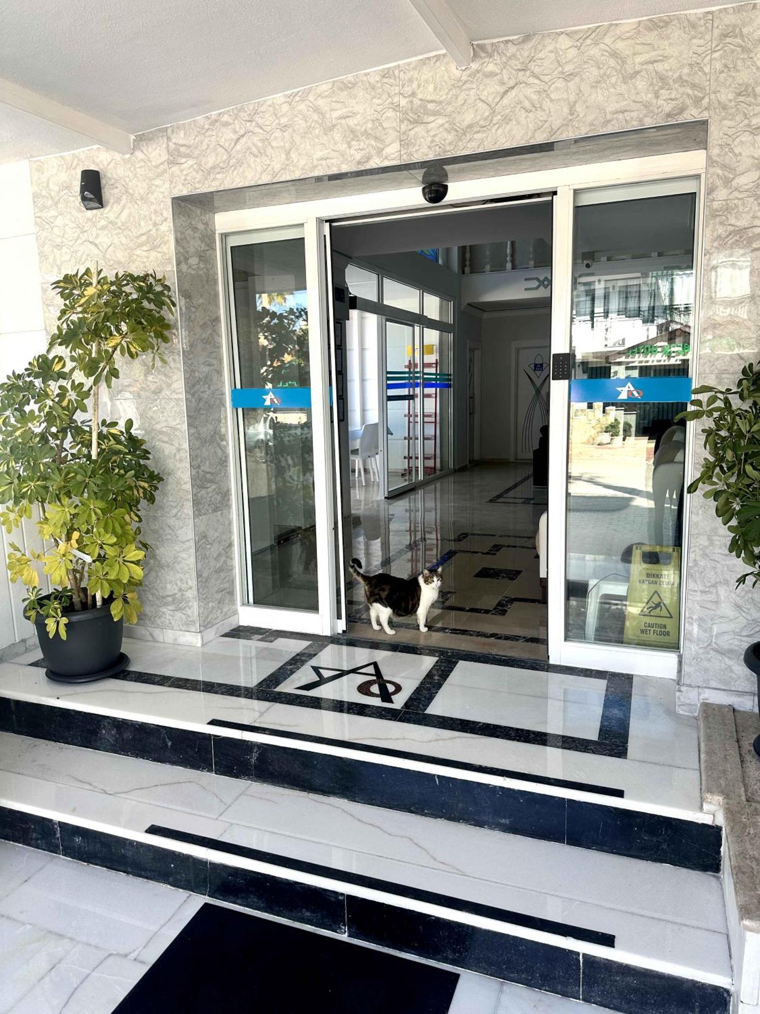 Amsterdam Otel Economic Room Kemer Exterior foto